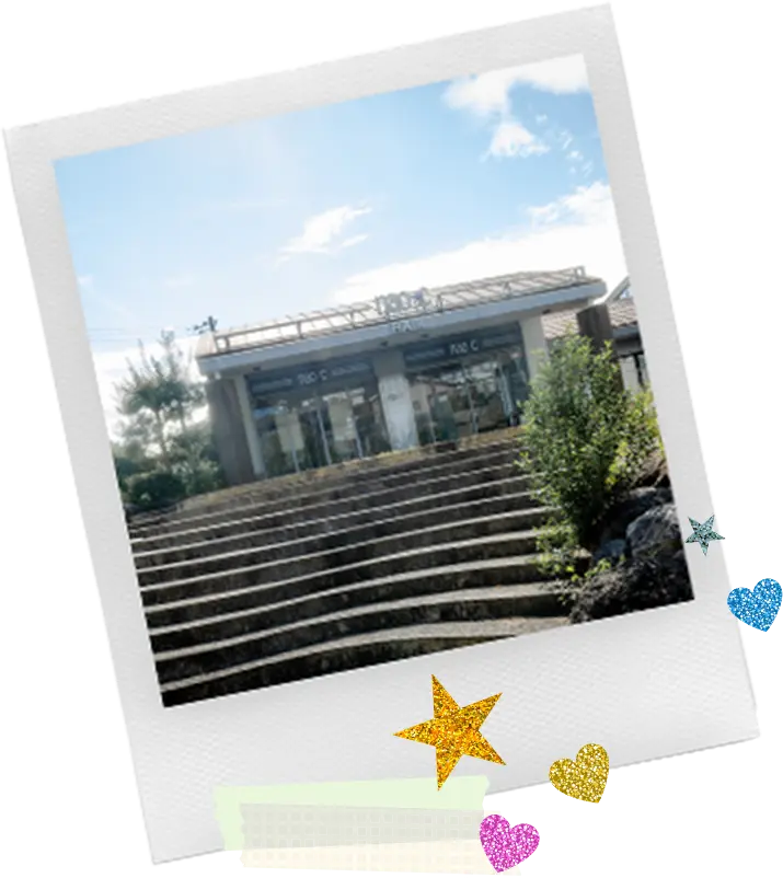 サロン見学会&就活相談会・インターンシップ随時開催中